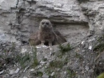 2010-04-30_204114.jpg