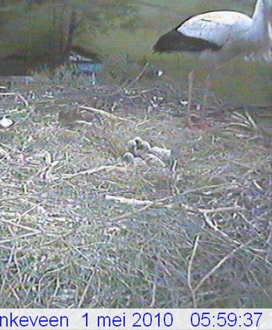 2010-05-01_055950.jpg