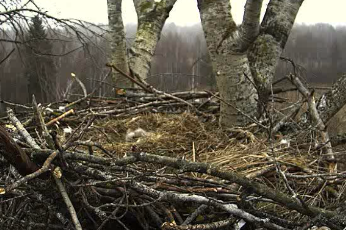 2010-05-01_071944.png