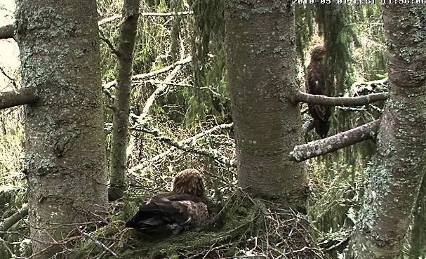 2010-05-01_110035.jpg