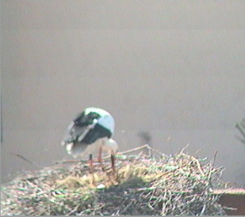 2010-05-01_110042.jpg