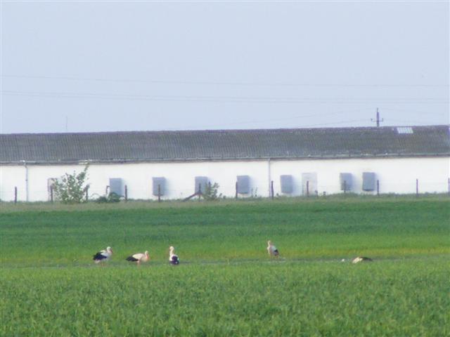 DSCF9483 (Small).JPG