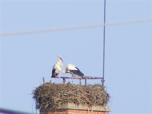 DSCF9436 (Small).JPG