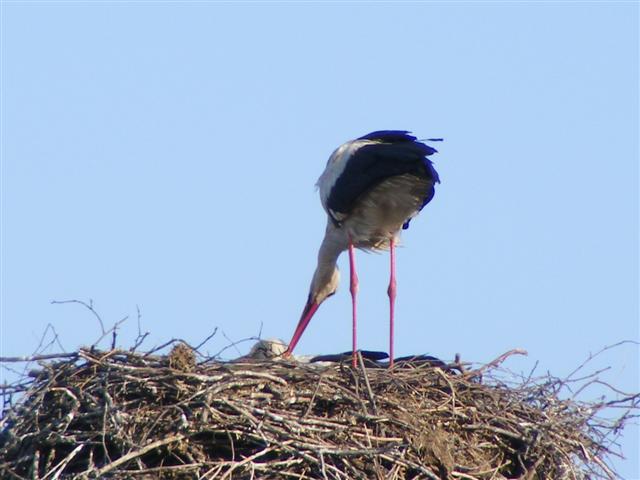 DSCF9438 (Small).JPG