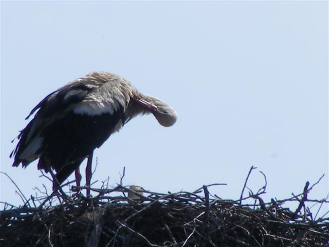 DSCF9401 (Small).JPG