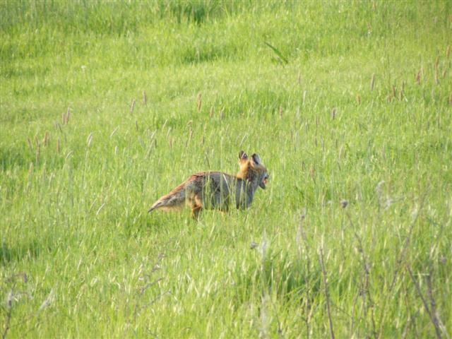 DSCF9474 (Small).JPG