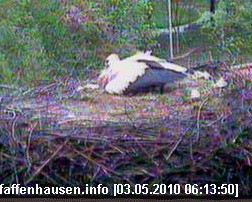 2010-05-03_062017.jpg