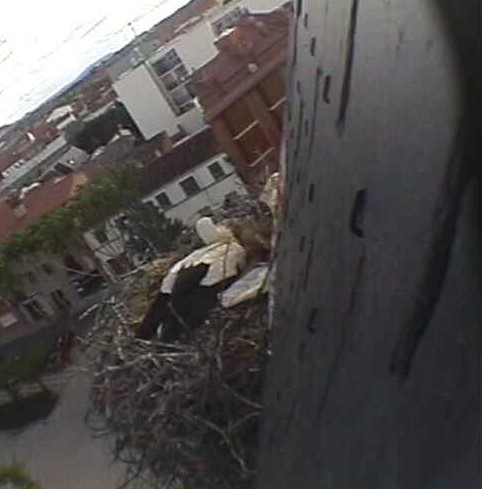 2010-05-03_185542.jpg