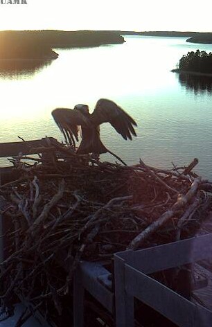 2010-05-03_203242.jpg