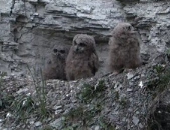 2010-05-03_204522.jpg