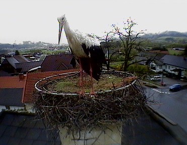2010-05-04_072118.jpg