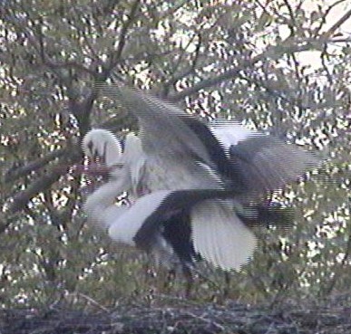 2010-05-04_075037.jpg