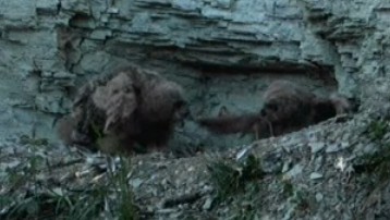 2010-05-04_194253.jpg