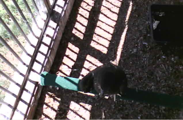 2010-05-04_195212.jpg
