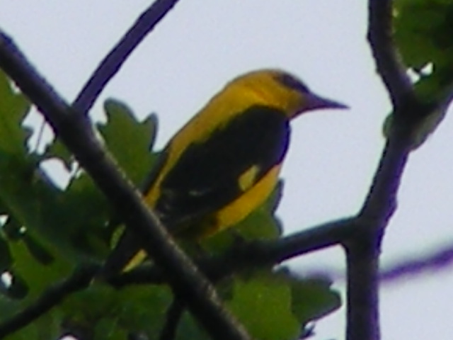 DSCF9557.JPG