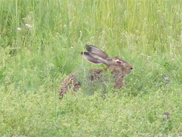 DSCF9568 (Small).JPG
