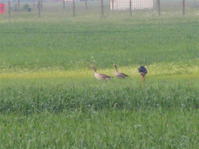 DSCF9590 (Small).JPG