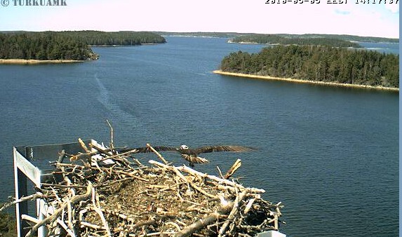 2010-05-05_131758.jpg