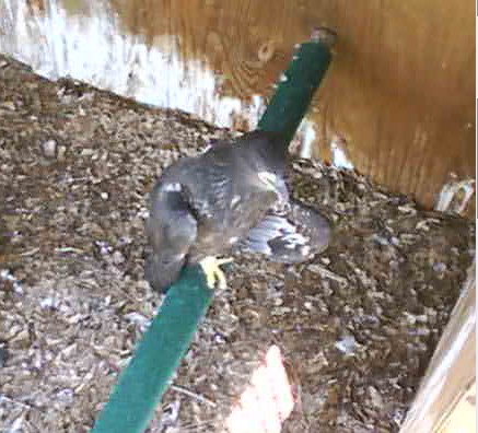 2010-05-05_183155.jpg