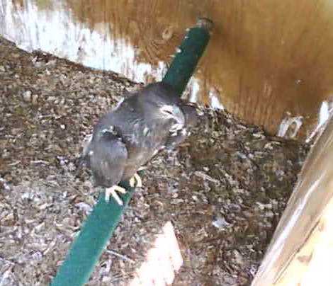 2010-05-05_182947.jpg