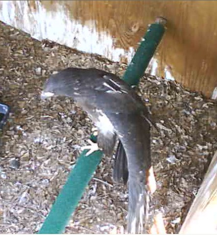2010-05-05_184050.jpg