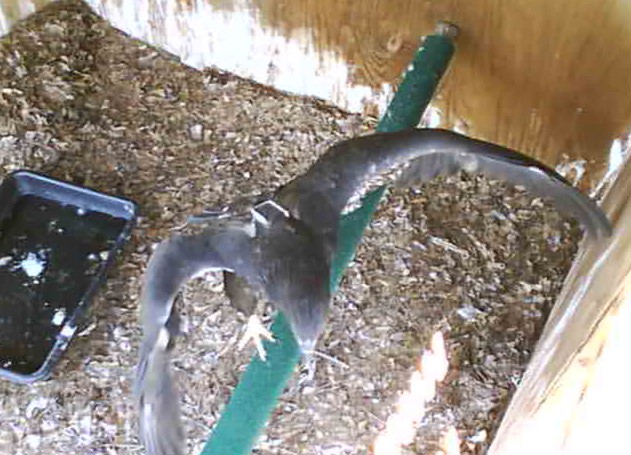 2010-05-05_184605.jpg
