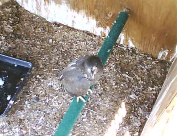 2010-05-05_184526.jpg
