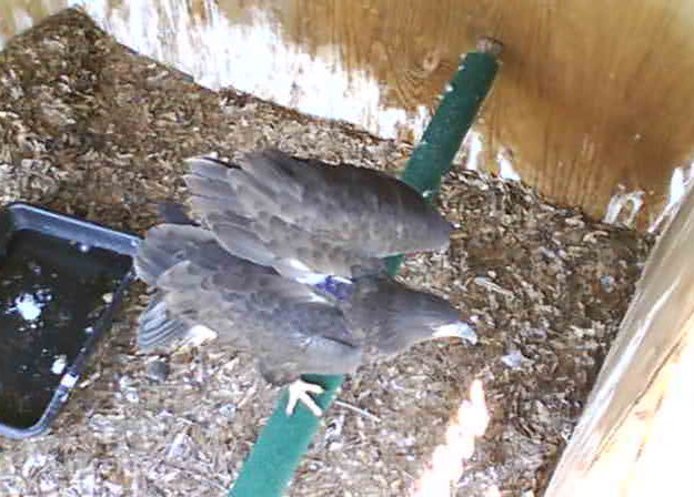 2010-05-05_184502.jpg