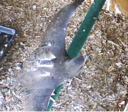2010-05-05_193248.jpg