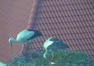 2010-05-06_074452.jpg