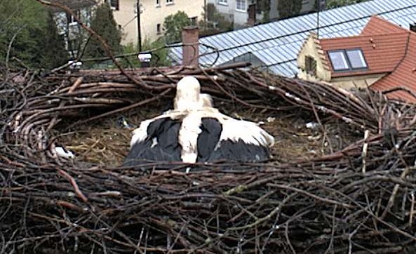2010-05-06_131703.jpg