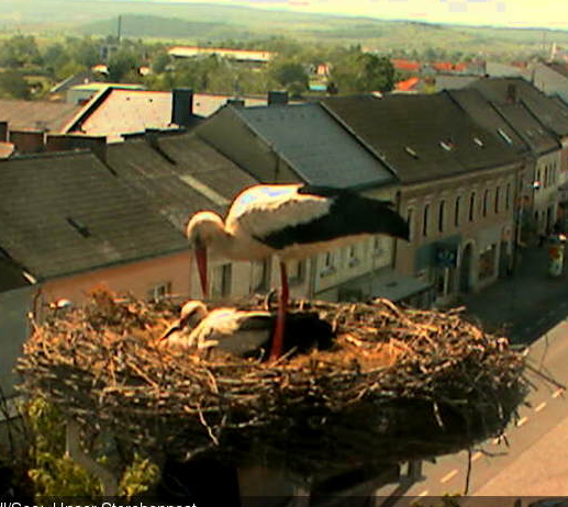 2010-05-06_144840.png