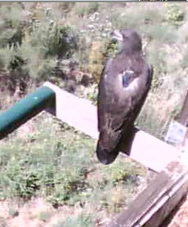 2010-05-06_164511.jpg