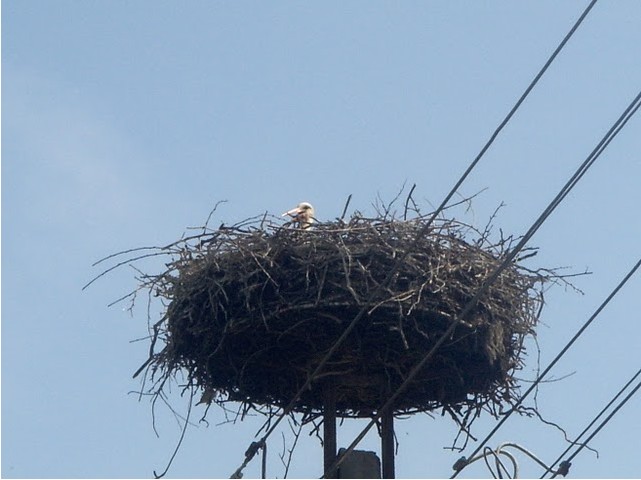 2010-05-07_132830.jpg