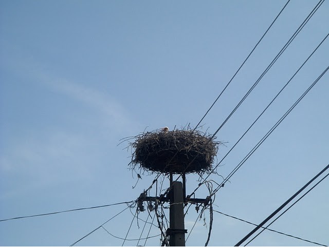 2010-05-07_132742.jpg