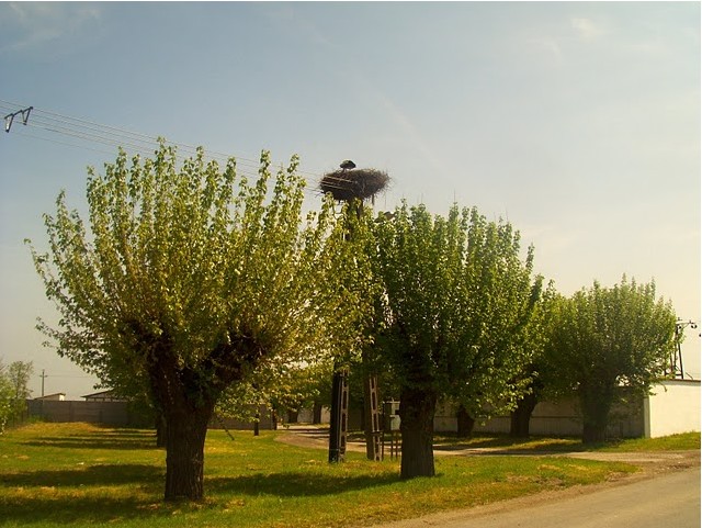 2010-05-07_132209.jpg