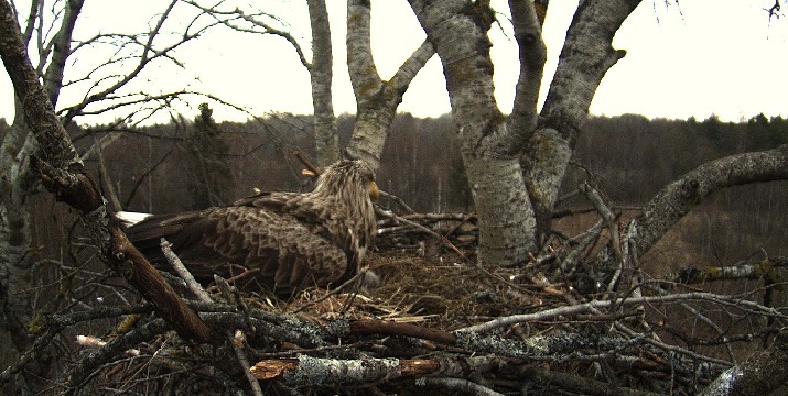 2010-05-08_191635.jpg