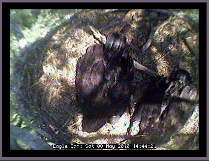 2010-05-08_204451.jpg