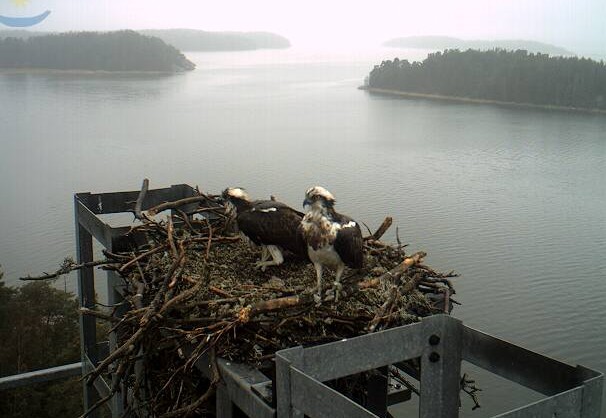 2010-05-09_084512.jpg