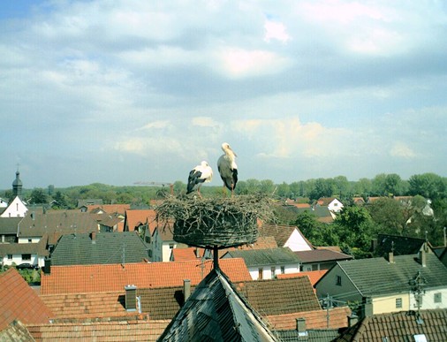 2010-05-09_152644.jpg