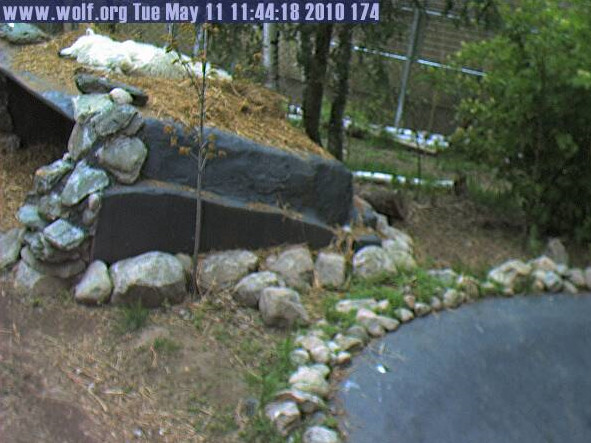 2010-05-11_184444.jpg