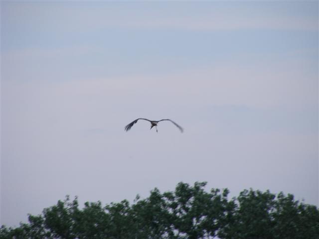 DSCF9662 (Small).JPG