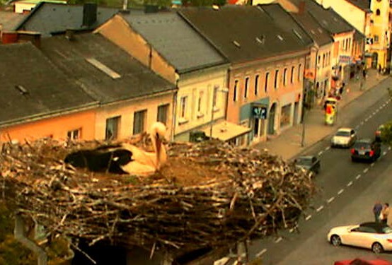 2010-05-12_090406.jpg