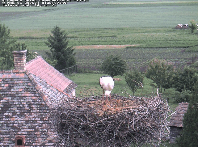 2009-05-23_090223.gif