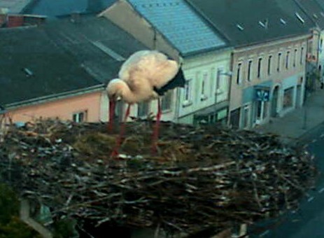 2010-05-13_052351.jpg