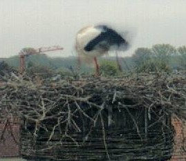 2010-05-13_053247.jpg