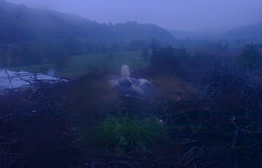 2010-05-13_055910.jpg