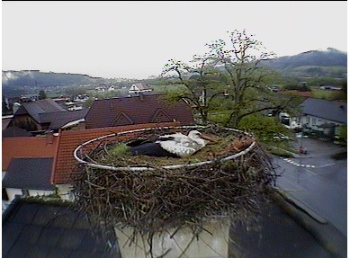 2010-05-13_075751.jpg