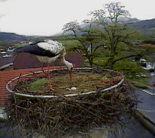 2010-05-13_132931.jpg