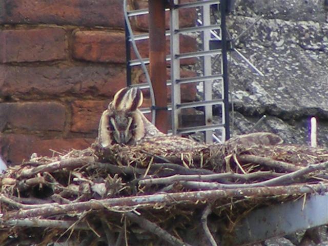 DSCF9685 (Small).JPG
